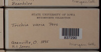 Image Associated With the Occurence